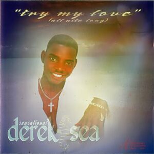 Derek 'Sensational' Sea - Try My Love (All Nite Long)