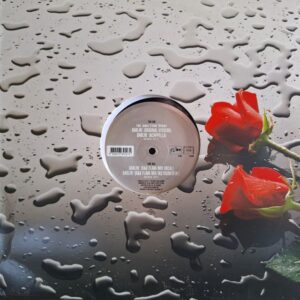 James 'D-Train' Williams, Bob Sinclar vs. Cutee B. - Darlin'