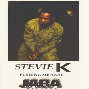 Stevie K - Pushing Me Away (VLS)
