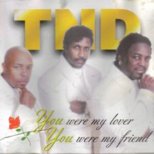 TND - You Were My Lover, You Were My Friend (CDS)