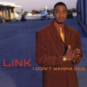 Link - I Don't Wanna See (Promo CDS)