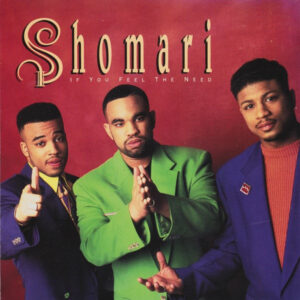Shomari - If You Feel The Need (VLS)