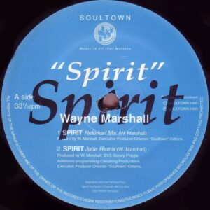 Wayne Marshall - Spirit (VLS)